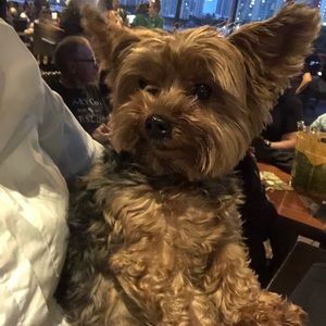 Meet your Posher, Elizabeth